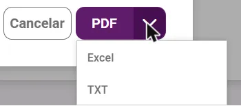 Seta do botão com as opções Excel e TXT