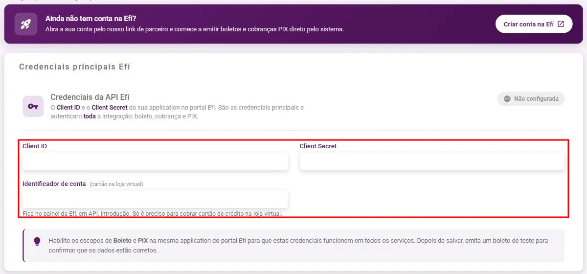 Tela Configurações EFI com os campos de credenciais