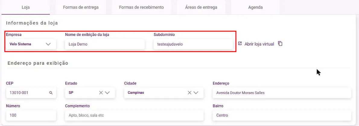 Aba Loja com o painel Informações da loja e os campos Empresa, Nome de exibição da loja e Subdomínio
