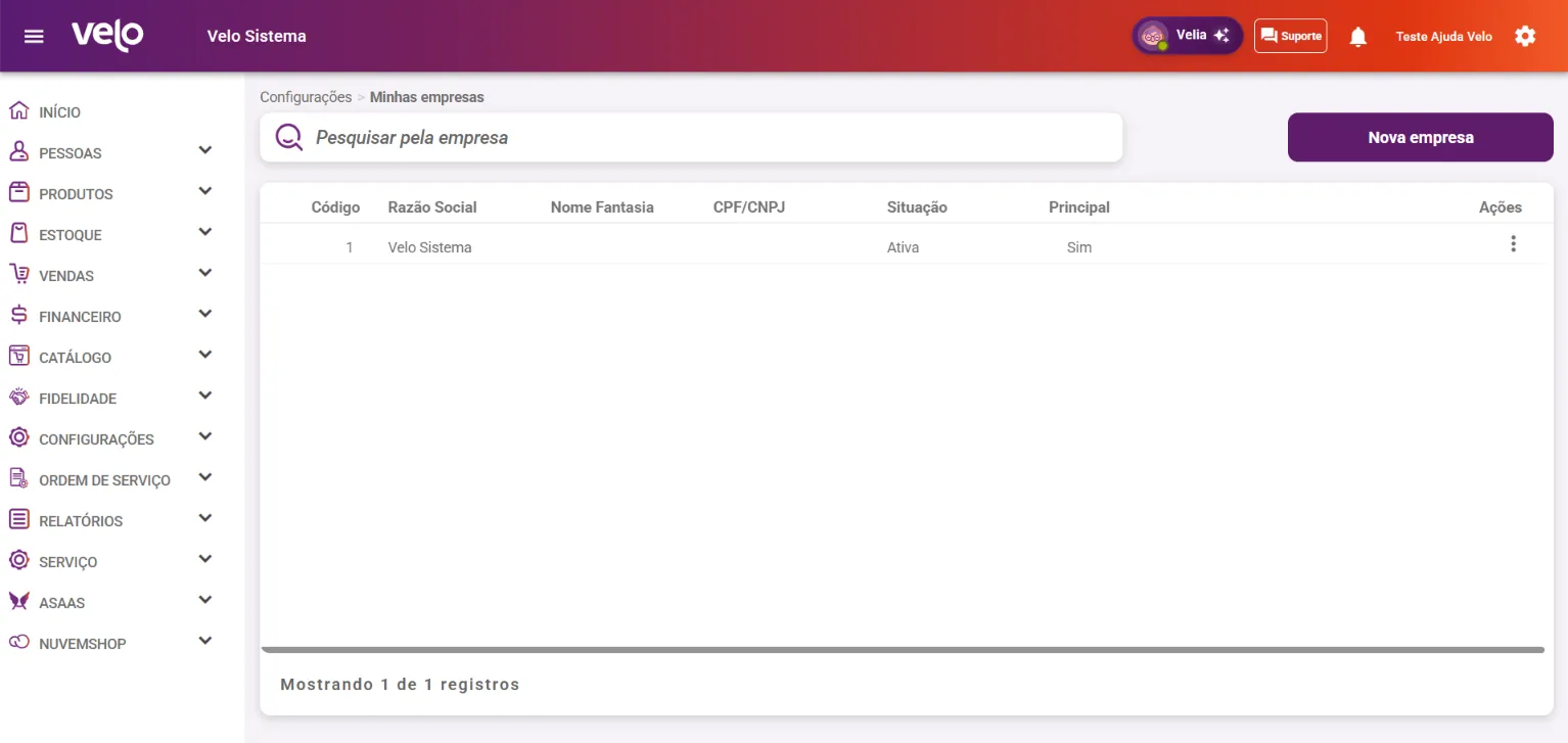 Listagem de empresas com a coluna Principal