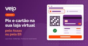 Pix e cartão na loja virtual: ilustração do checkout com o QR Code do Pix, o cartão de crédito parcelado e o pedido pago